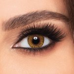 Ciba Vision - FreshLook One Day Pure Hazel
